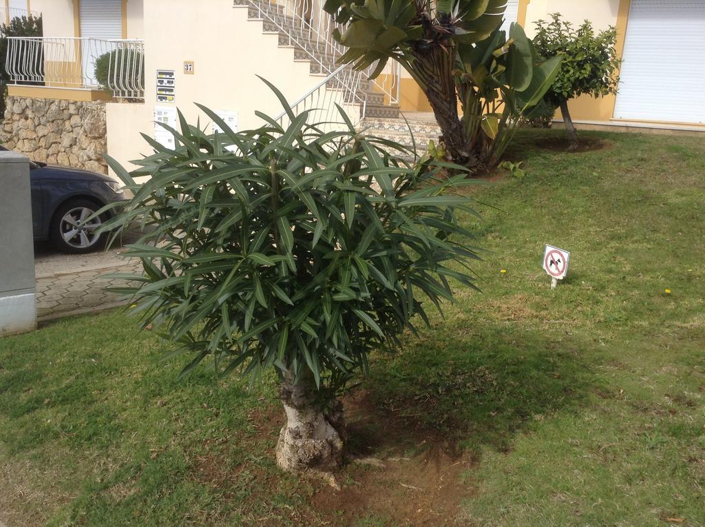 Votre Appartement A Portimao Exterior photo